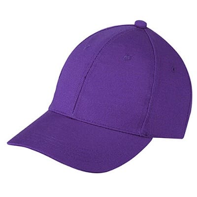 Tata IPL 2022 Purple Cap List